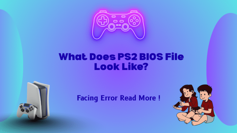 What Does PS2 BIOS File Look Like?